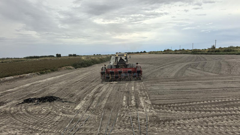 二十四团8100余亩冬小麦开播启新程 二十四团8100余亩冬小麦开播启新程