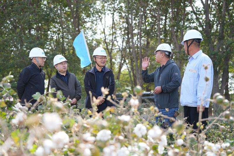 �������Զ�����˫�ڹ�ˮ��ȫ����Ŀ����