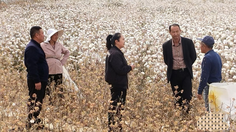 且末县塔提让镇“古大姐调解室”成功化解棉花地用人合同纠纷