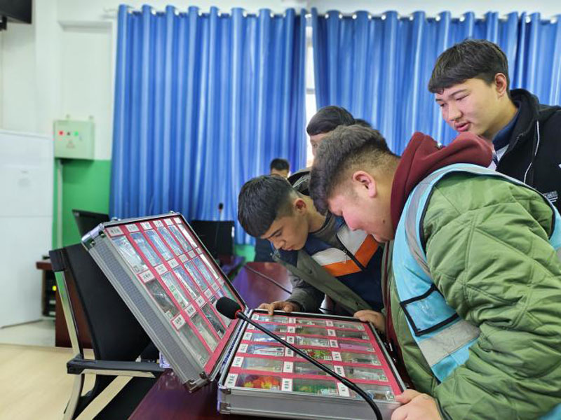 �����޶��ഺ���½��ͳ�����Ϊѧ�����ϡ��������ҡ�