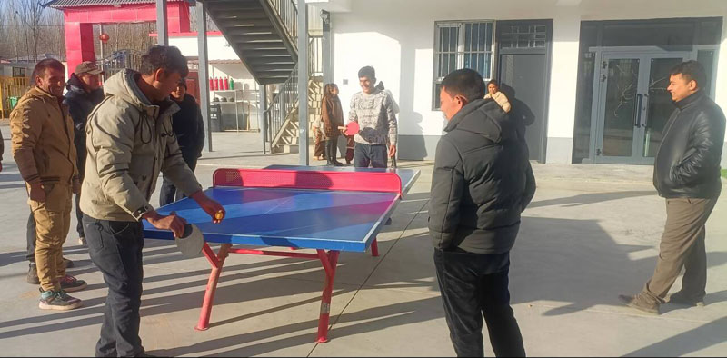 Ҷ�Ƕ��������������İ�ʲ�� 5 �����Ͼٰ���������