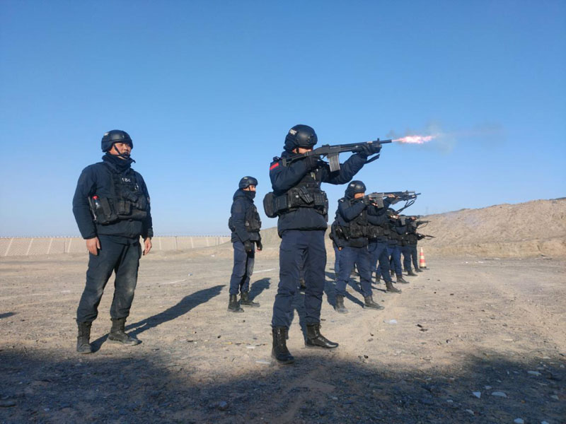 ������й����֣������½����ҳ� ʵս����������