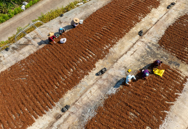 ���֣��˽�Ʈ��ӭ���� ��ҵ�̾��¸�·