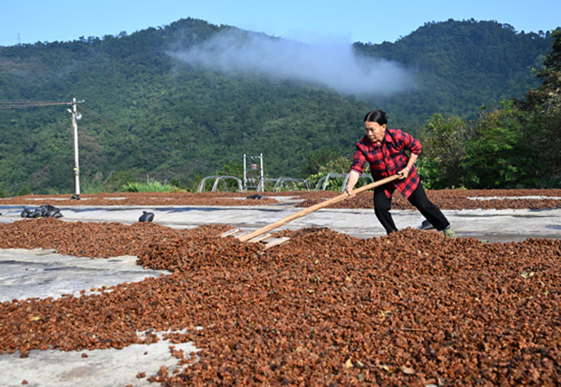 ���֣��˽�Ʈ��ӭ���� ��ҵ�̾��¸�·