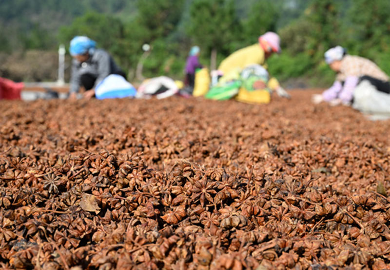 ���֣��˽�Ʈ��ӭ���� ��ҵ�̾��¸�·