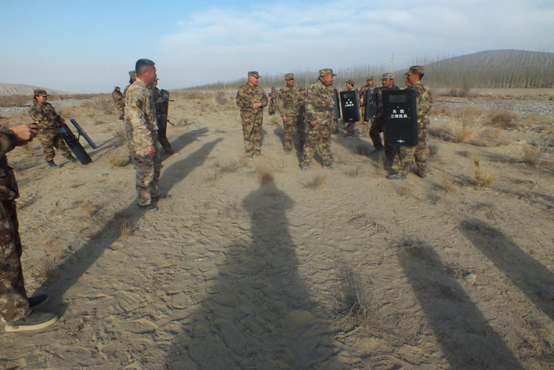 Ҷ�Ƕ�������չ�߷�Ѳ���ۺϺϳ�����