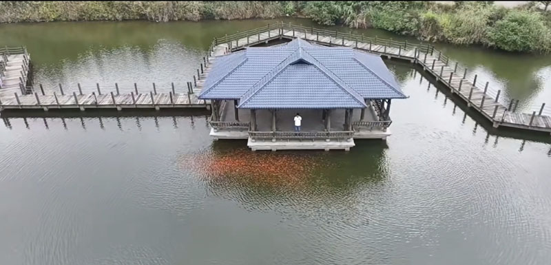 ê����ˮ��ҵ�ߵأ����ͺ�����̬���