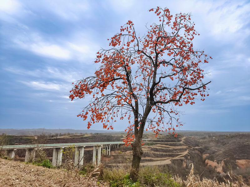 颗粒归仓理念实践助力公路施工企业高质量发展