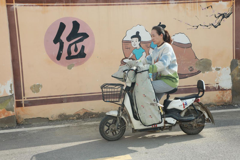 �԰�������Ե���ͯ�ġ�������ѧ���޼�����Сѧ�����ʦ��Ƽ