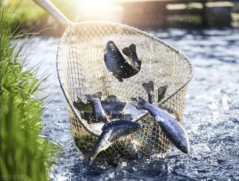 �Ƽ�������̬ �����������