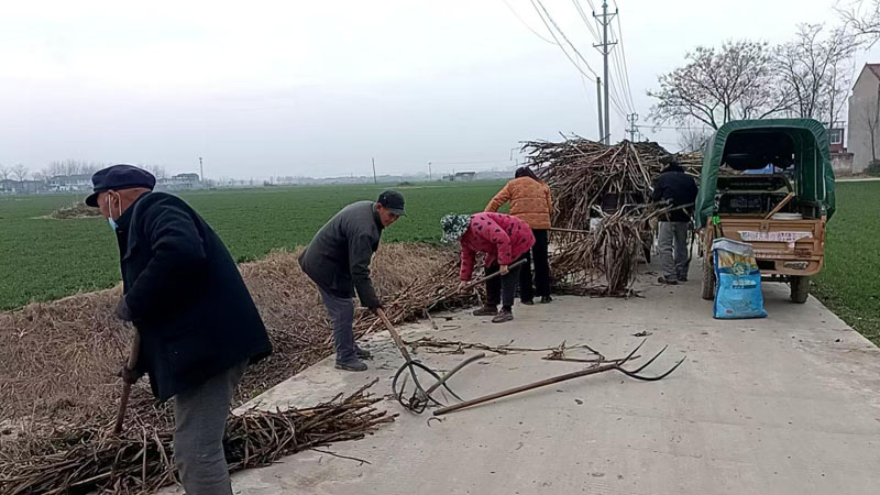 ����������������չ�˾ӻ������ι����������