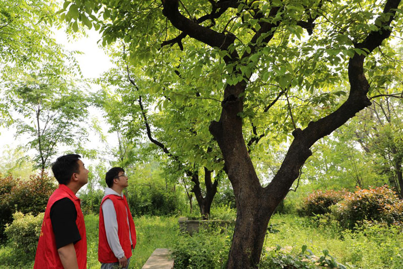 ˫�Ŵ�֣��Ӫ�������������Ϳѣ�������������