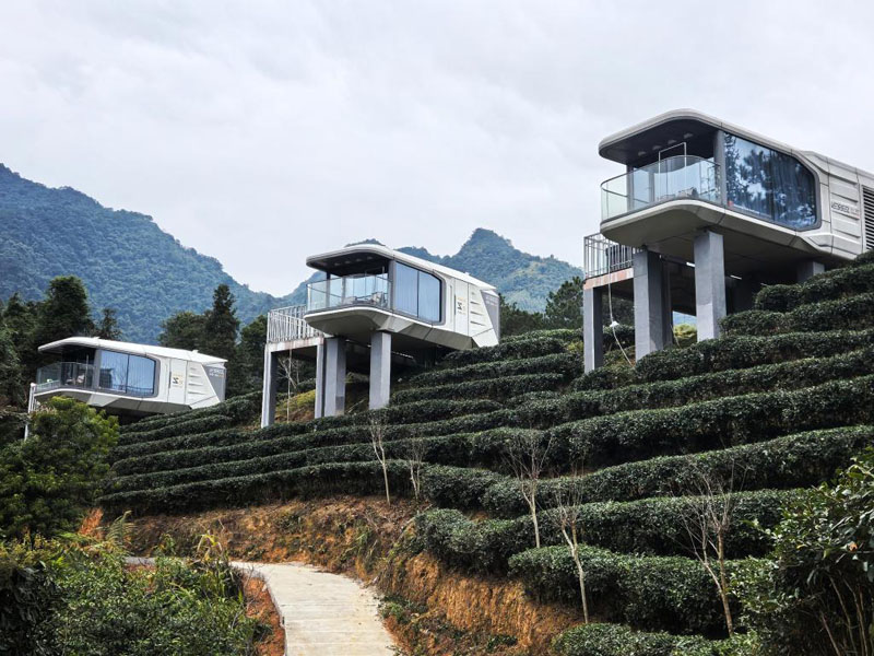 һƬҶ���㡱��ũ�����ں��»���