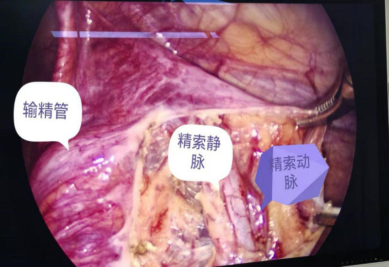 ����Э������˶����������������ҽԺ�ɹ���չ�������׸�ǻ���¾���������λ������