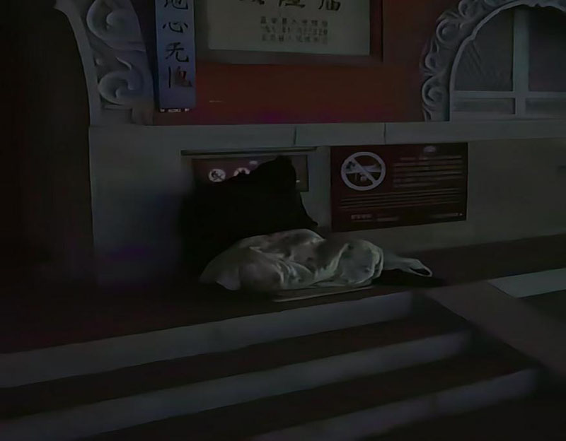 �꺮��ů ���ȡ������ߡ��������ؾ���վ��ʵ��չ����������ů���ж�