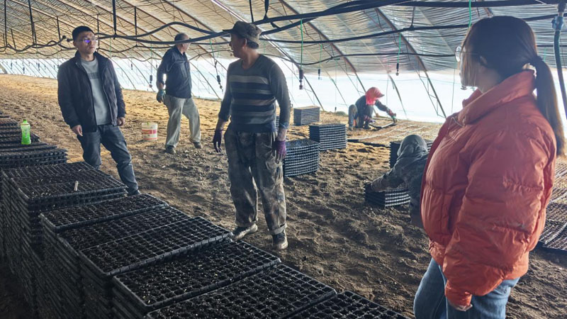 ��ʮ���Ŷ�����֧����չ��ǰ��ȫ����  ����ƽ���������