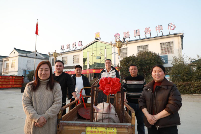 �ɳ���������˫�������ٰ조ӭ�´�����ѽڡ��κӱ���