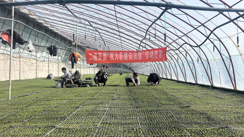 以赛促干助春耕 产业振兴添活力