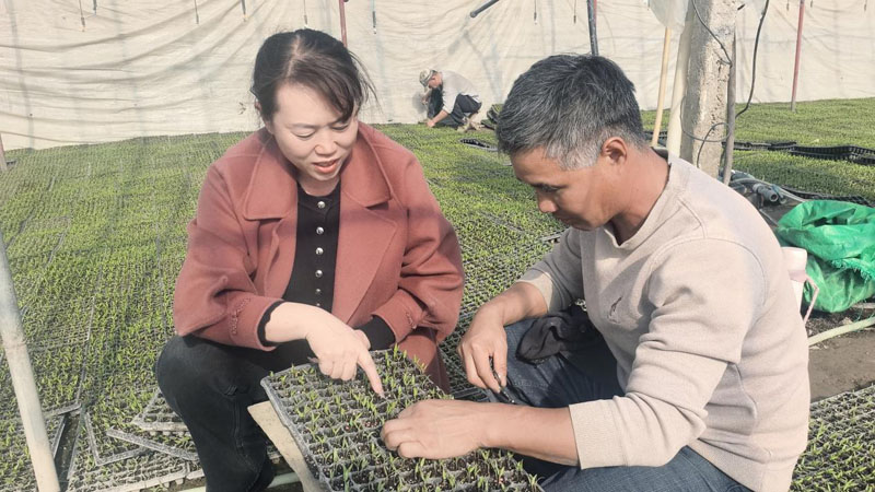 �����ٸ������� ��ҵ����������