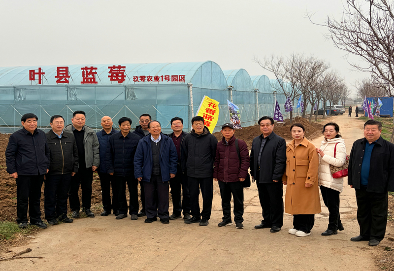 ��������̽��· ������δ������˶��