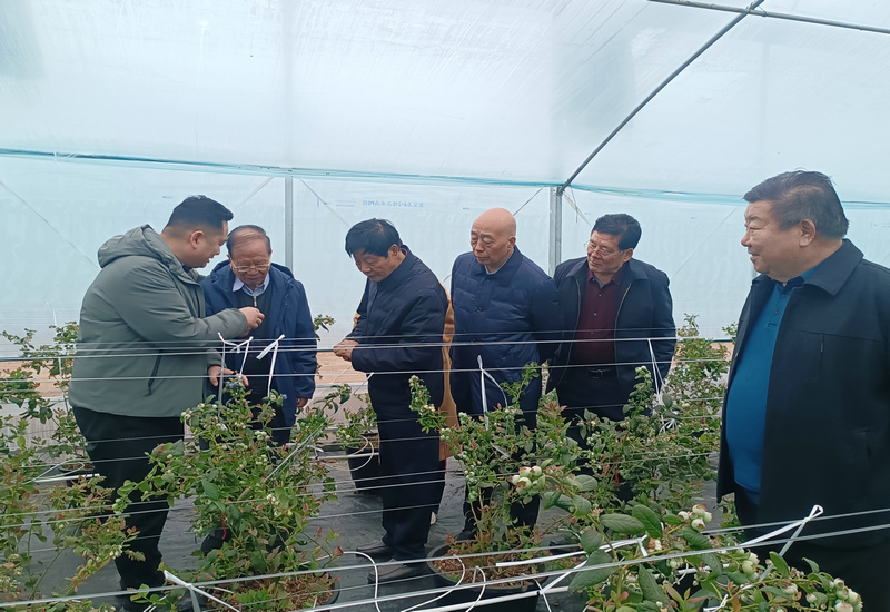 ��������̽��· ������δ������˶��