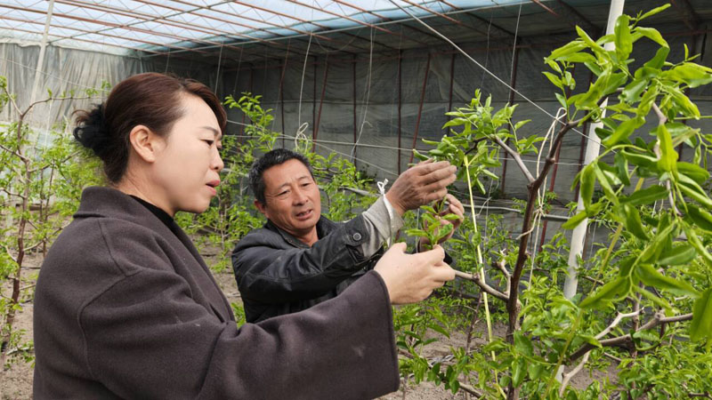 �Ƽ���ũ��ʹ���ͼ�� ����ܻ�������������