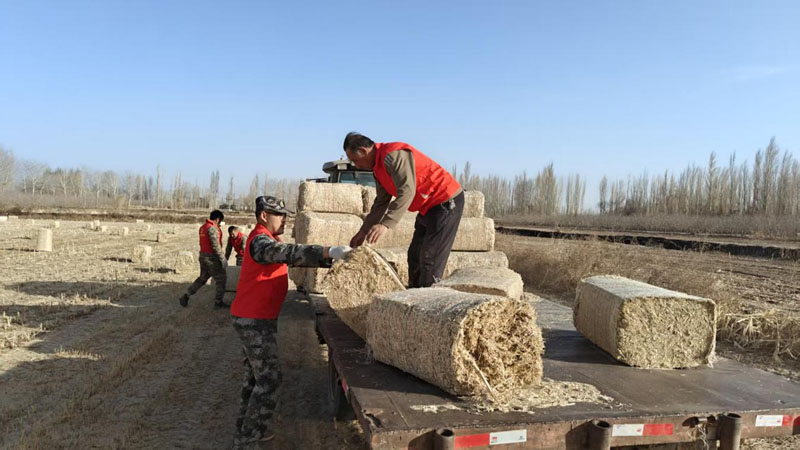 ��ĩ�ذ�������ѧ�׷�־Ը����ů���� ��۷ܽ�����