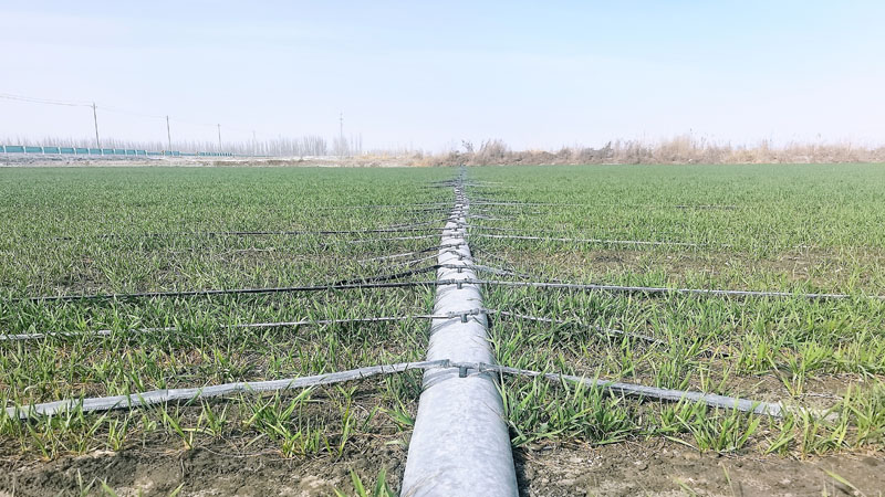 ��ʮ���Ŷ�������غȱ�������ˮ�� ������������