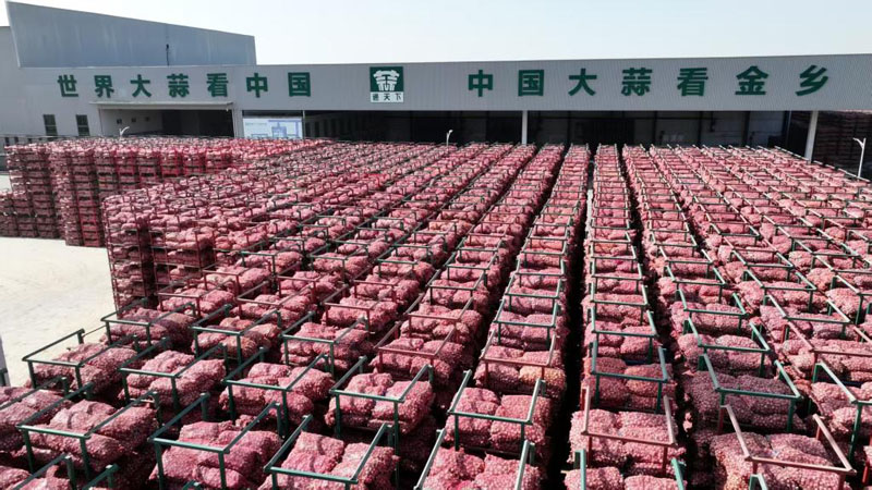 ������ͷ������������й������ز�������Ȧ��ȫ��