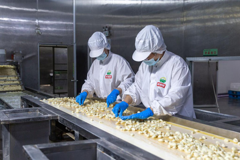 ������ͷ������������й������ز�������Ȧ��ȫ��