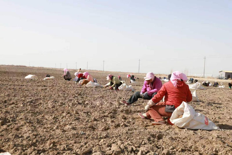 ���ϲ���� ��������ͷ