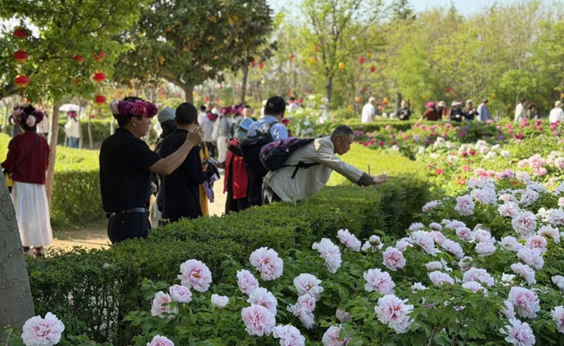 2026����ĵ�������ɽ���������