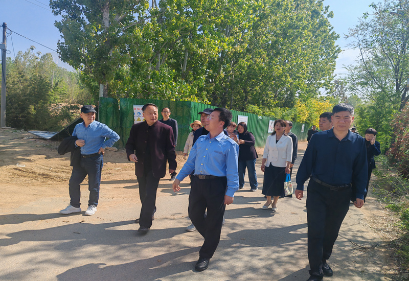 ��ī������ ����������