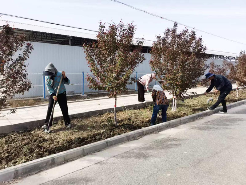 ��������� �ֻ���������ʱ�����������翪չ�ֻ��ֲݻ