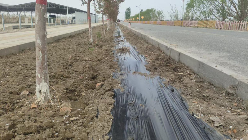 ��������� �ֻ���������ʱ�����������翪չ�ֻ��ֲݻ