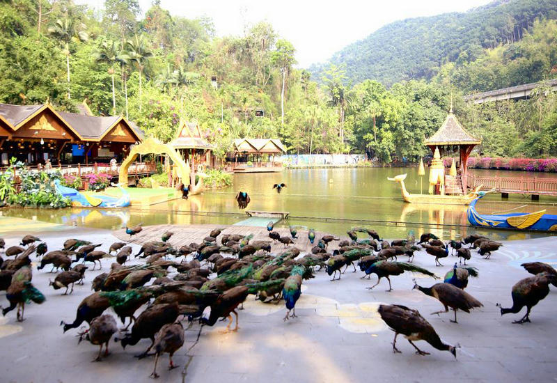 ���⻪��ý��߲�ɷ����߽���˫���� ���������������ȴ�����