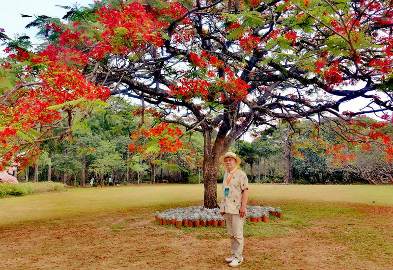 ���⻪��ý��߲�ɷ����߽���˫���� ���������������ȴ�����