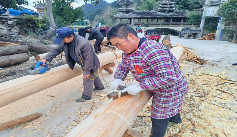 ��ƽ��é���򣺻��Ŵ崫���� ������������ͼ��